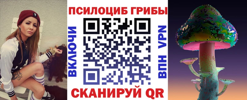 дарк нет официальный сайт  закладка  Называевск  Псилоцибиновые грибы Psilocybine cubensis 